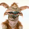 Salacious Crumb