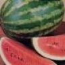 Water_Melon