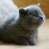 Loupy