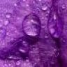 purple_rain