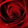 *Red*