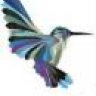 riahummingbird