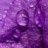 purple_rain