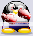 tux-boxeur_fcys14_tux.png