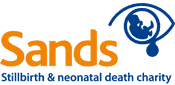 sands_logo.gif