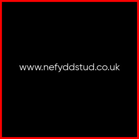 NEFYDD-BUCCANEERdress.jpg