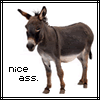 niceass.gif