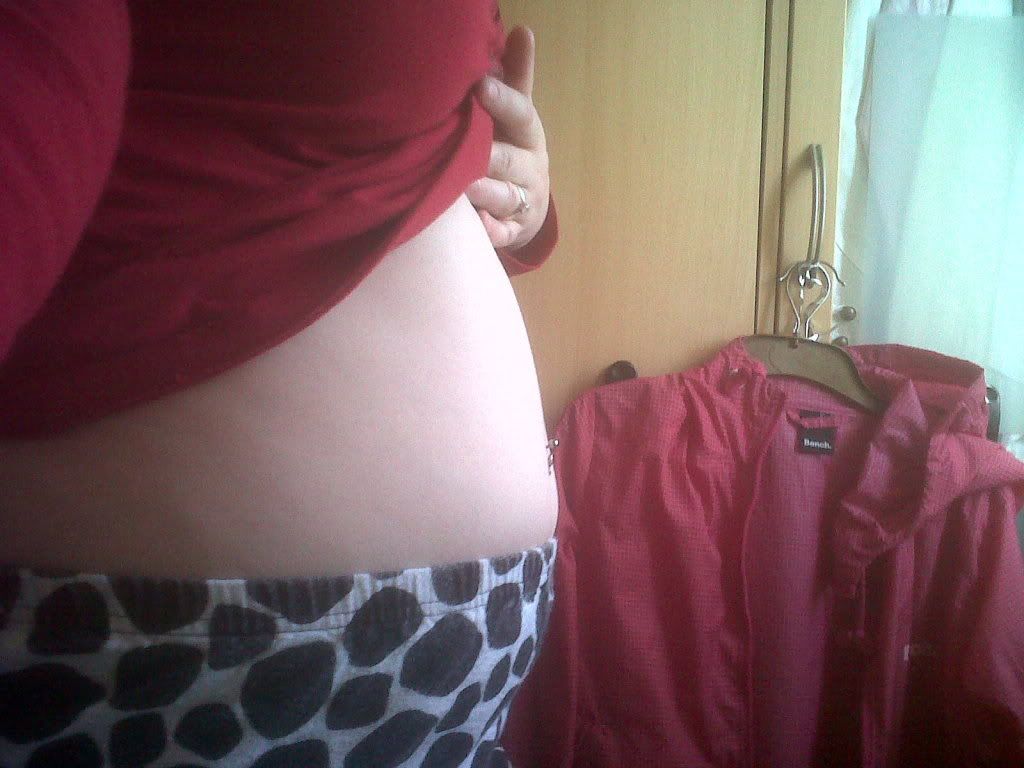 prepreg2.jpg