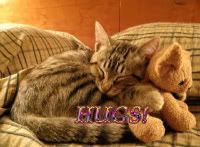 hugs.jpg