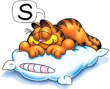 garfield-sleeping.jpg