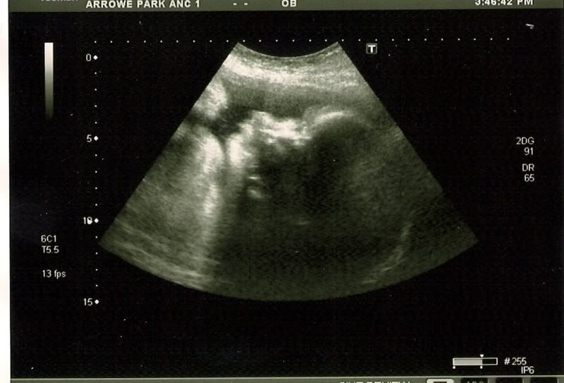 scan0002.jpg