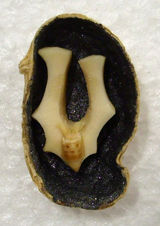 AUS-peanut-bat.jpg