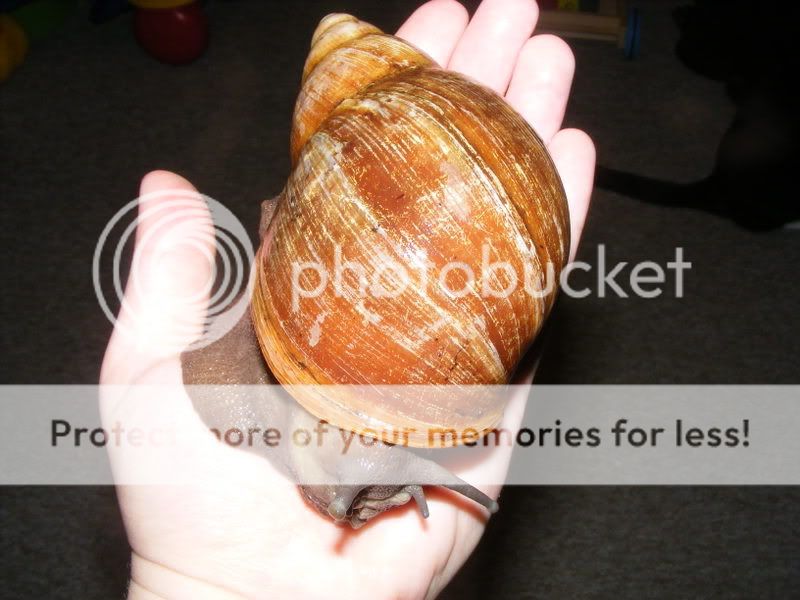 DSCF0446.jpg