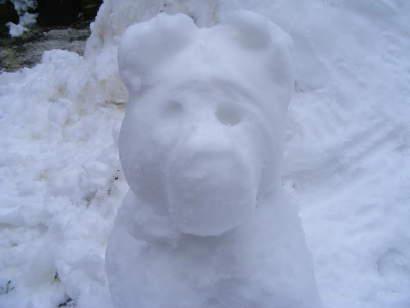 DSCF2283.jpg