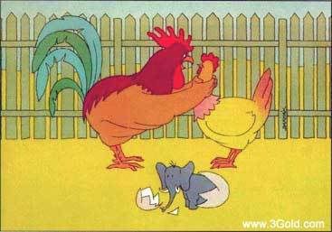 Chochingchicken.jpg
