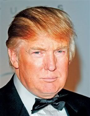 donaldtrumpscombover.jpg