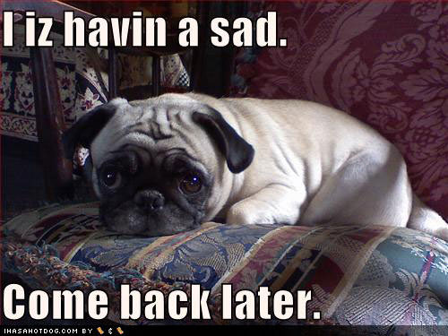 sad-pug.jpg