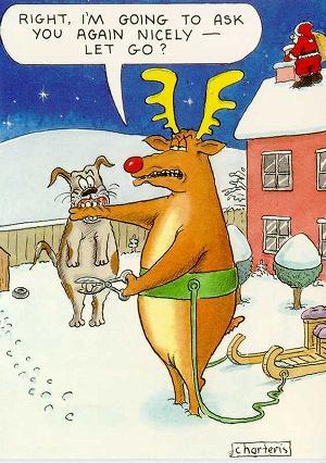xmas4.jpg