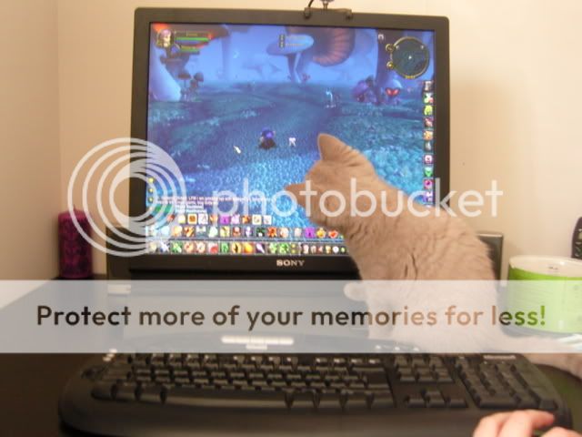 73260462.jpg