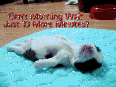 morn00008.gif