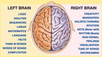 left_vs_right_brain.gif