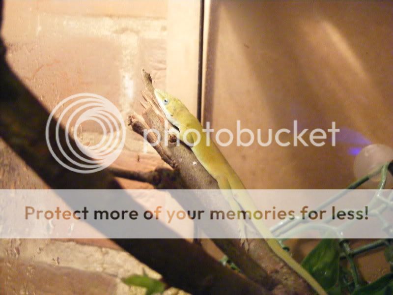 DSCF1206.jpg