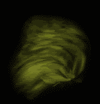 scary.gif