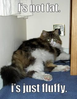 is-not-fat-is-just-fluffy.jpg