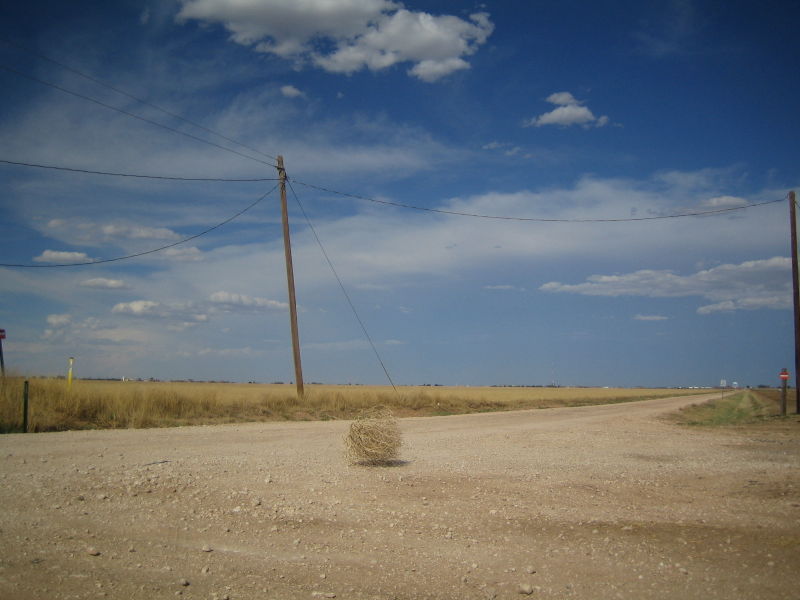 tumbleweed_004.jpg