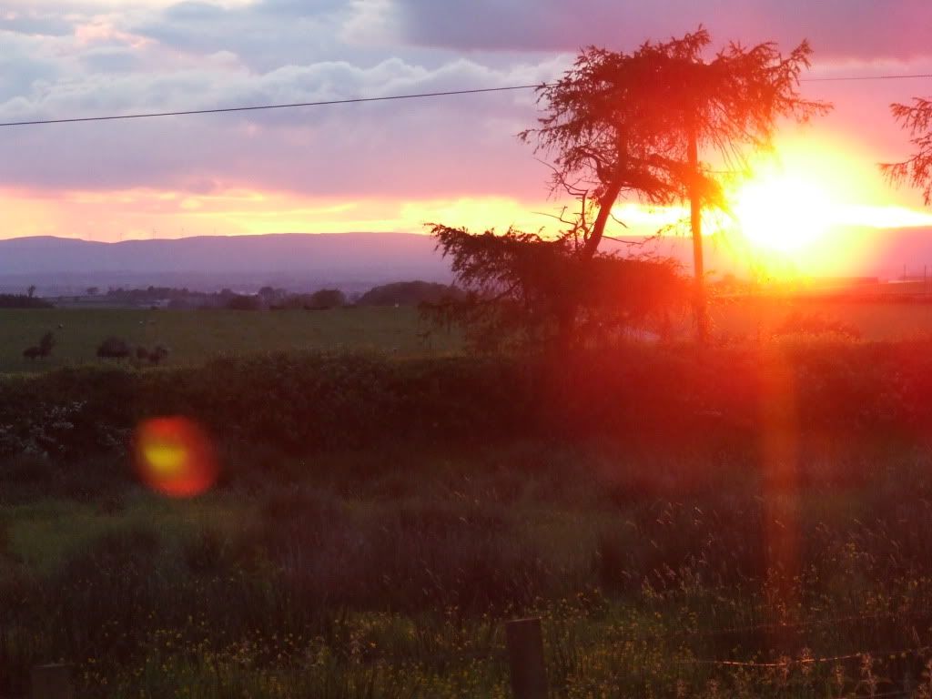 DSCF5158.jpg