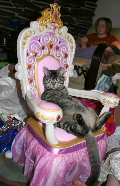 spoiled_kitteh.jpg