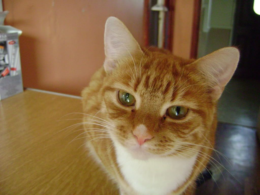 DSC00029-1.jpg