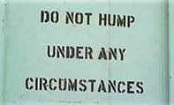 nohumping.jpg