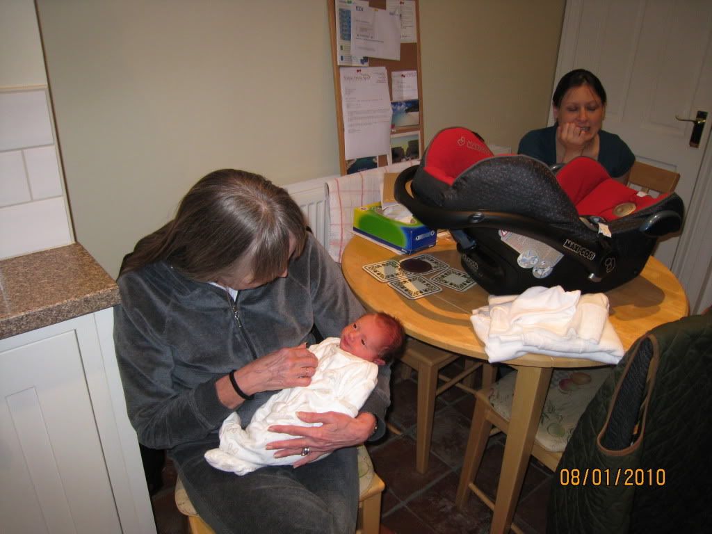 IMG_0487.jpg