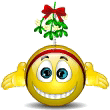 255ji.gif