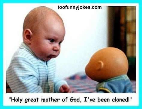 funny-photo004.jpg
