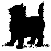 blackie.gif