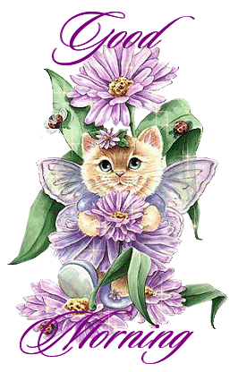 kittyandbutterfly.gif