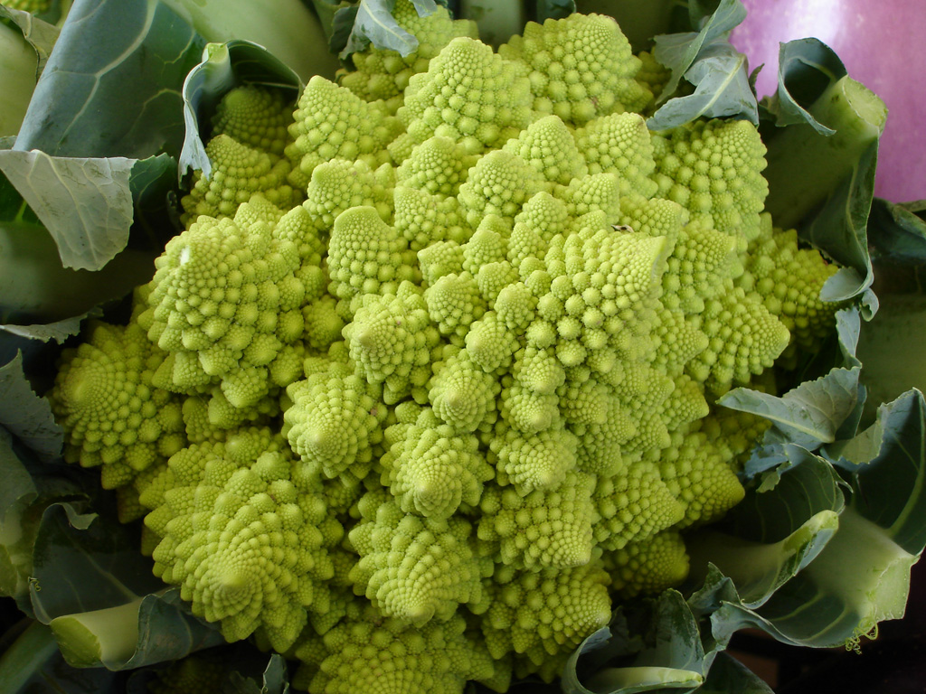 romanesco1024.jpg