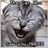 TheCatSaw.jpg