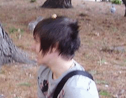 thehaircut.gif