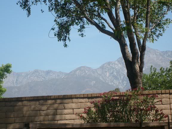 viewfrombackgarden01.jpg