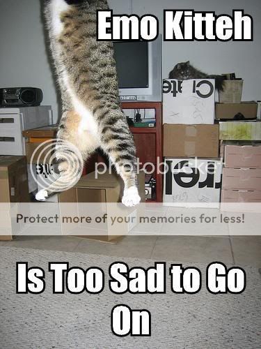 emo-kitteh-is-too-sad-to-go-on.jpg