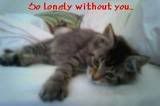 lonely.jpg
