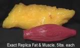 fat-v-muscle-1.jpg