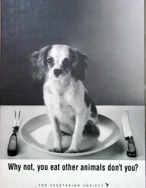 vegetarian.jpg