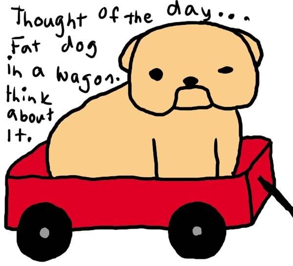 though-of-the-day.jpg