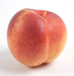 AZnectarine.jpg