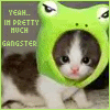 thth0fc43b7f.gif
