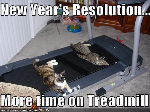 funny-pictures-resolution-cats-trea.jpg